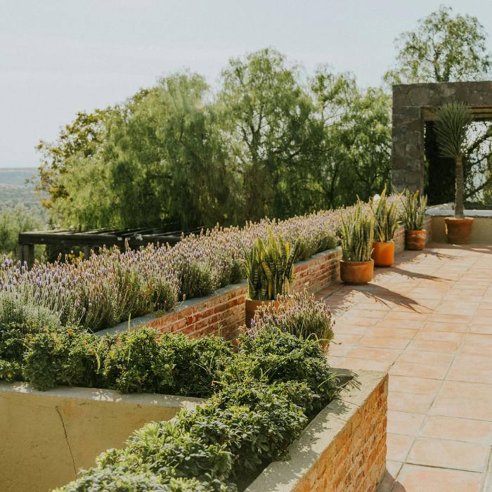 Terrasse 2
